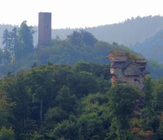 HEUTE: Frühlingsanfang und „Tag des Waldes“ – Wald ist wichtiger Standortfaktor