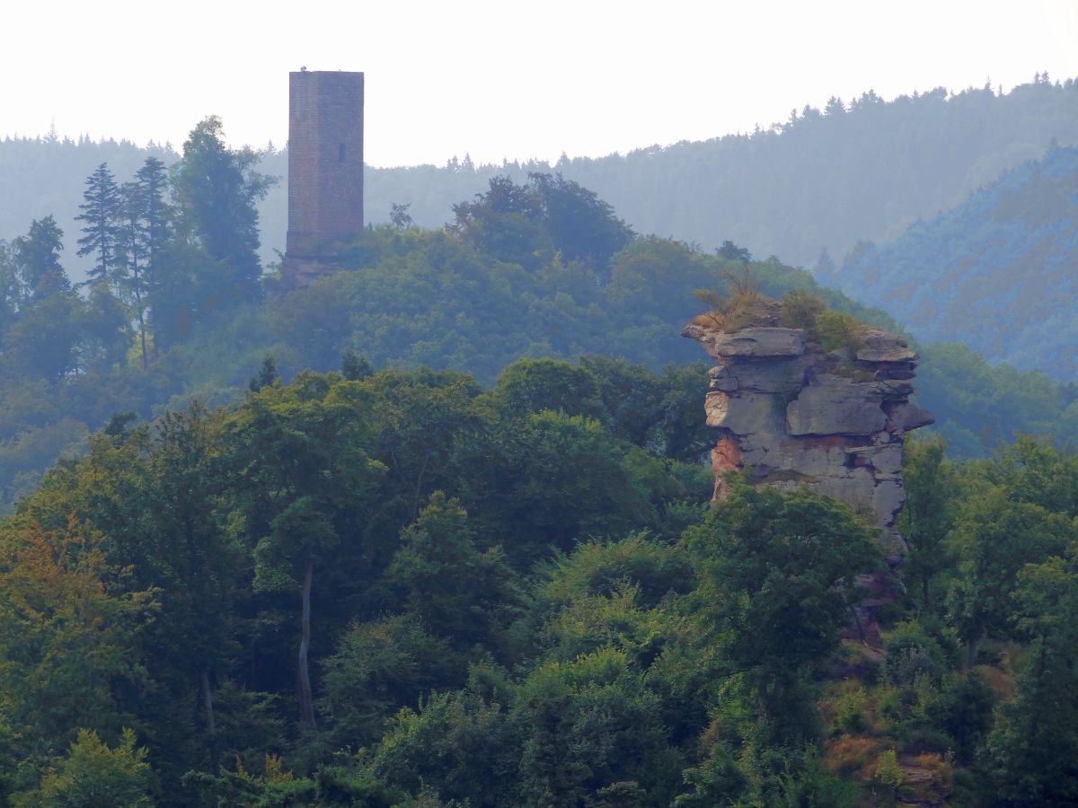 HEUTE: Frühlingsanfang und „Tag des Waldes“ – Wald ist wichtiger Standortfaktor