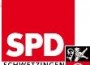 SPD Rhein-Neckar nominiert Landtagswahl-Kandidaten