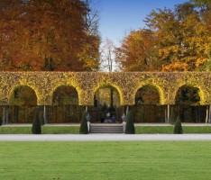 300. Geburtstag des Hofgärtners Petri