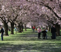 Schloss Schwetzingen: Neue Preisse ab Januar