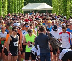 Schwetzinger Spargellauf mit über 1.100 Gewinnern