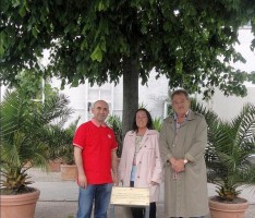 SPD-Gedenkschild für „50 Jahre Grundgesetz“ in neuem Glanz