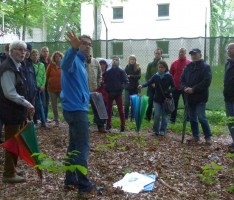 Rot-Grüne Exkursion im „Wald der Superlative“ mit Nabu-Vorsitzenden