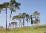 Lebensraum bedrohter Arten ist wertvolles Kulturerbe