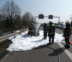 Einsatzstatistik der Feuerwehr Schwetzingen für das 1. Halbjahr 2014