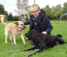 Neues Tierschutzgesetz: Tierhändler, Tierpensionen und Hundetrainer brauchen Erlaubnis