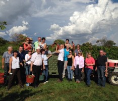 Weinpatenschaft: Austausch zwischen Wachenheim und Schwetzingen vertieft