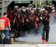 Neuanfang bei Rhein-Neckar Bandits