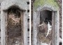 Zoo Heidelberg bietet Zimmerservice der besonderen Art: Frühjahrsputz