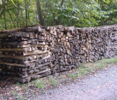 Die Holzernte läuft derzeit in vielen Wäldern des Rhein-Neckar-Kreises