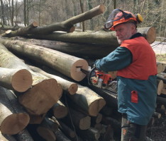 Kreisforstamt: Kampf den Holzdieben