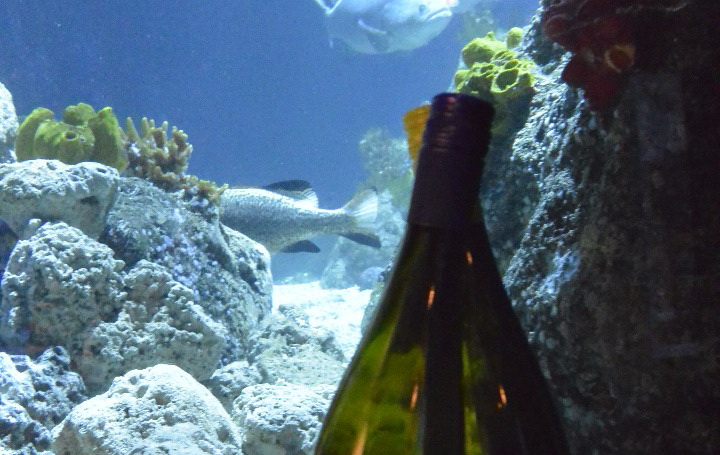 Weinprobe unter Wasser