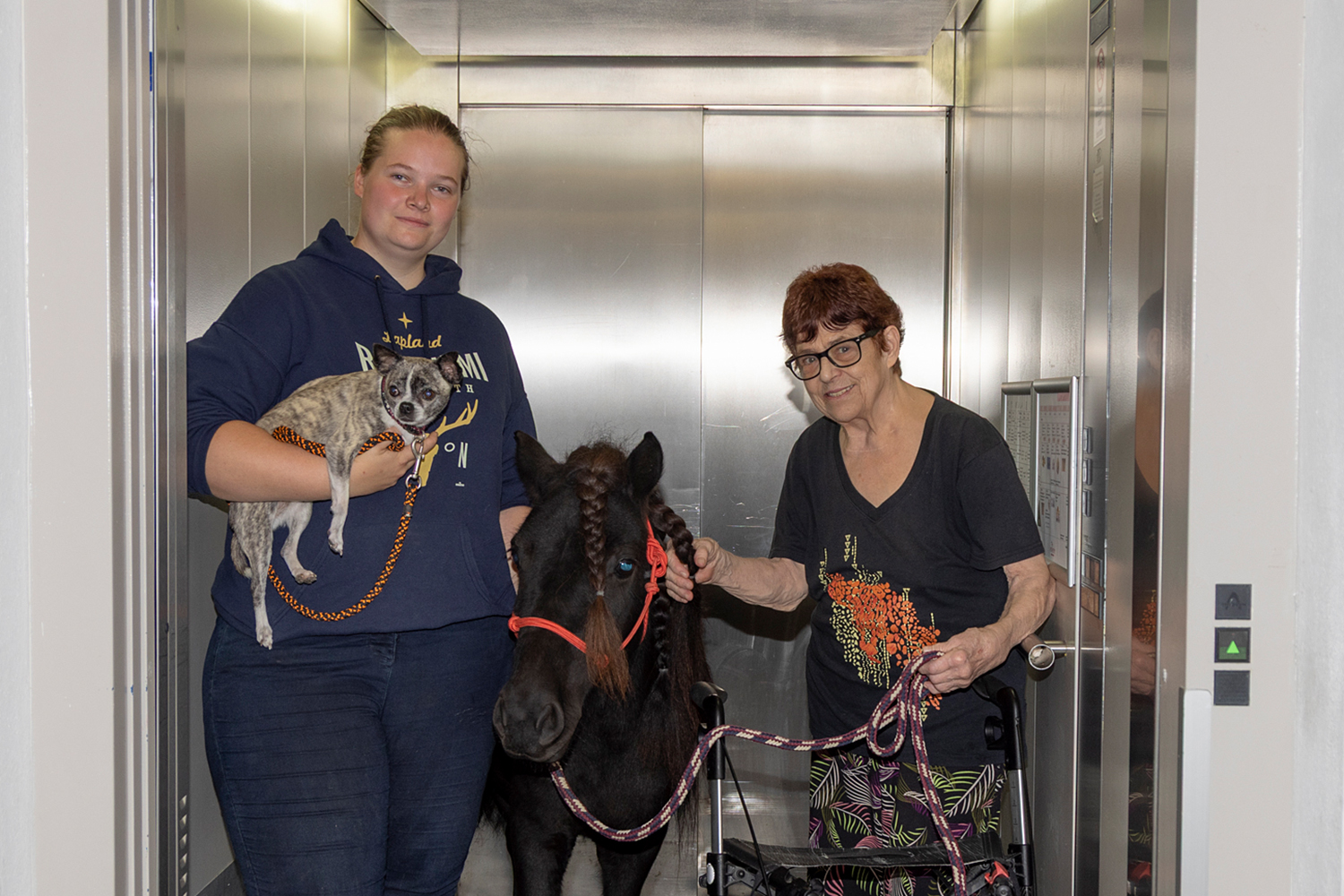Blick in die Metropolregion: Ein Pony fährt Fahrstuhl