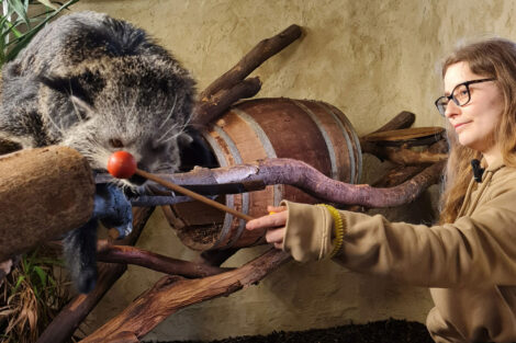 Tiertraining im Zoo Heidelberg: </br>Wie Vertrauen das Wohl der Tiere sichert