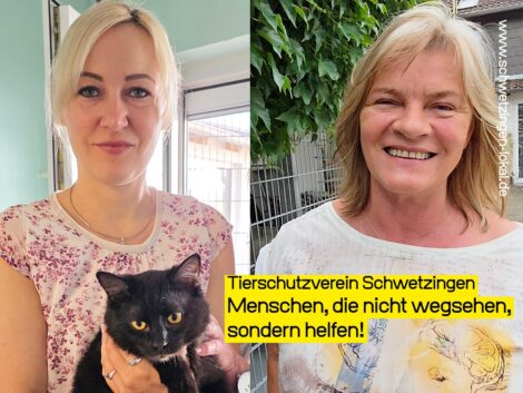 Tierschutzverein Schwetzingen: Ehrenamt für Tiere in Not / Sommerfest am 7. Juni