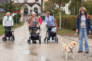 Besuchshund Bella begleitet Hockenheimer Spaziertreff