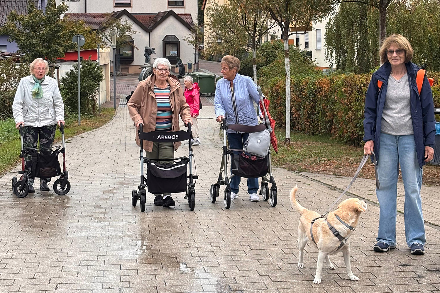 Besuchshund Bella begleitet Hockenheimer Spaziertreff
